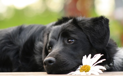 these eyes these eyes