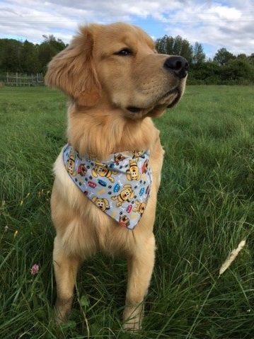 jake